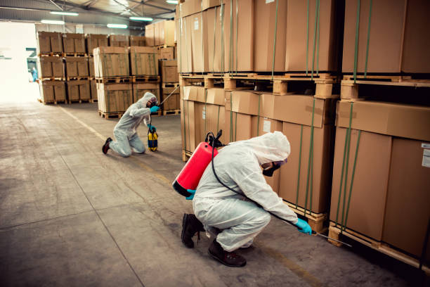 Best Affordable Pest Control Services  in Fairfax, IA