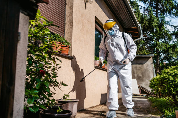 Best Exterminator Services  in Fairfax, IA