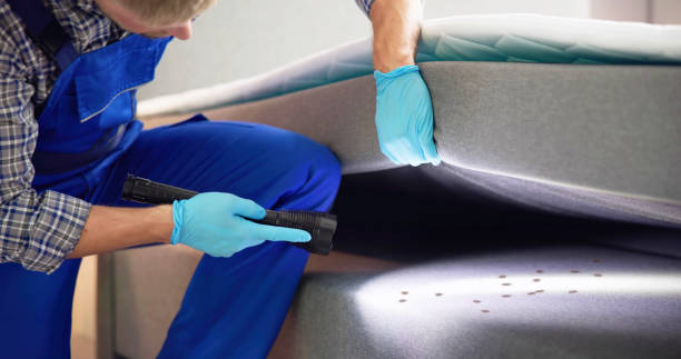 Professional Pest Control in Fairfax, IA